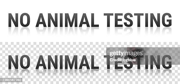 no animal testing - text with reflection on transparent background - looking into mirror stock illustrations
