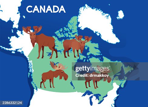 Canada Map with Moose Canada Map with Moose