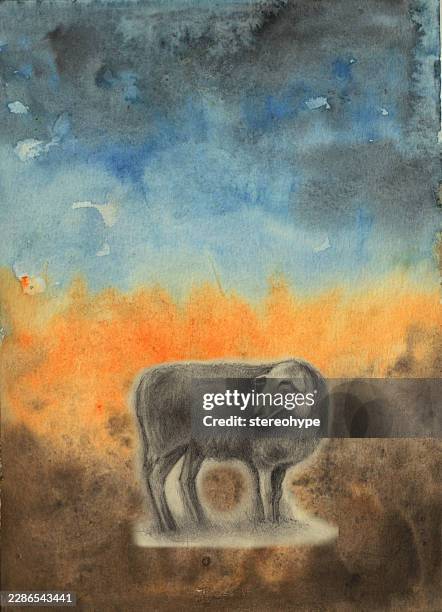 humble sheep - sheep wool stock illustrations