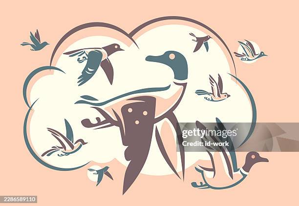 mallards flying with friends - drake stock illustrations