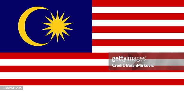 malaysia flag. vector - malaysia flag vector stock illustrations