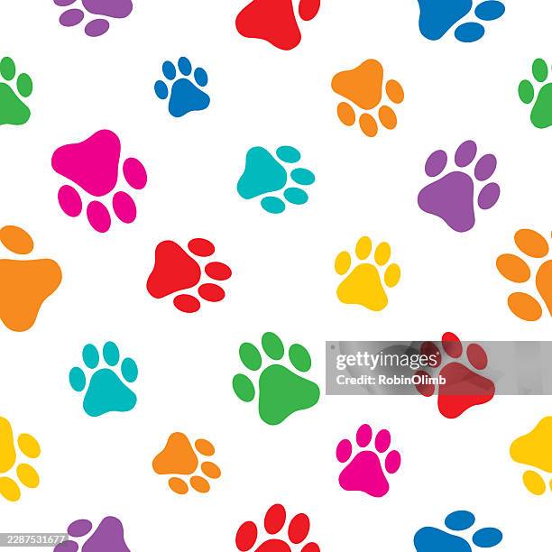 bright colored paw prints seamleess pattern - paw print pattern stock illustrations