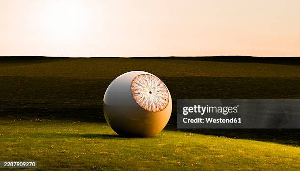 surreal giant eyeball resting on a grassy meadow at sunset - watching sunset stock illustrations
