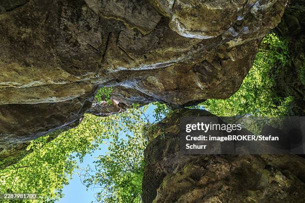 unique sandstone rock formations in the müllerthal region, known as little switzerland, luxembourg, surrounded by lush forest and scenic hiking trails in a protected natural landscape - landschap buiten de steden gelegen gebied stockfoto's en -beelden
