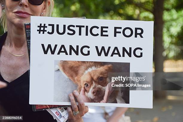 Protester holds a 'Justice for Wang-Wang' placard during the demonstration. Protesters gathered in Hyde Park demanding justice for Wang-Wang, a dog...