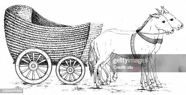 roman chamulcus freight wagon — two harnessed horses pull a four-wheeled wicker cart - wicker stock illustrations