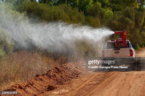 Workers are carrying out monitoring and control measures against mosquitoes that transmit West Nile virus in the Seville town of Los Palacios. 4...