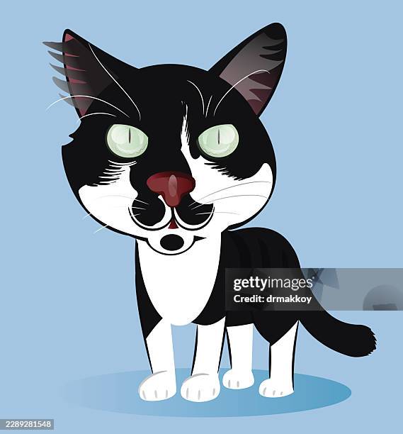 big-headed tuxedo cat vector illustration - ginger cat stock illustrations