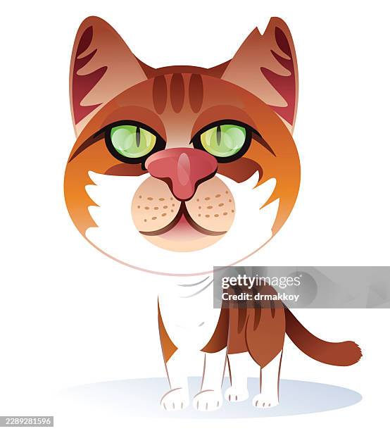 big-headed brown tabby cat - ginger cat stock illustrations