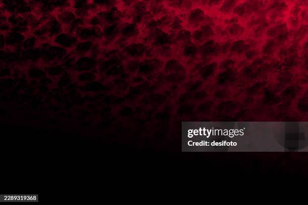 spotted leopard print dark red painted maroon color gradient wall smudged vector background with defocused black spores or spots like lava from volcano fire abstract hazy cloudy rough uneven pattern all over - leopard pattern stock illustrations