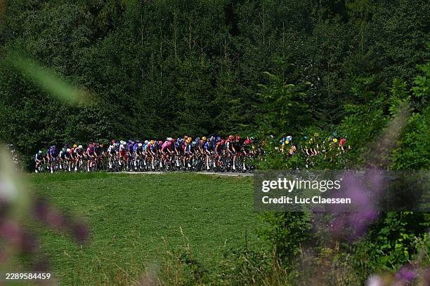General view of the peloton competing during the 83rd Tour de Pologne 2026, Stage 6 a 125.5km stage from Bukovina Resort to Bukowina Tatrzanska 942m...
