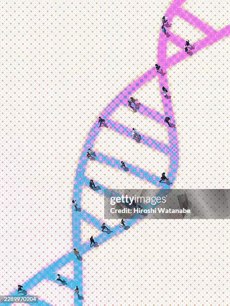 people walking on dna designed with colorful dots - human genome code stock pictures, royalty-free photos & images