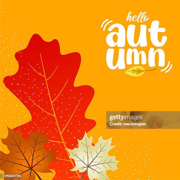 hello autumn red maple leaf design - oranges flatlay stock illustrations