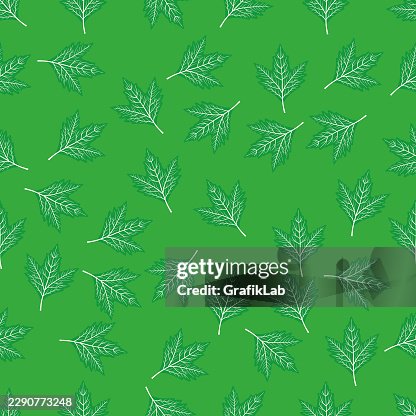Linear leaf seamless pattern Linear leaf seamless pattern