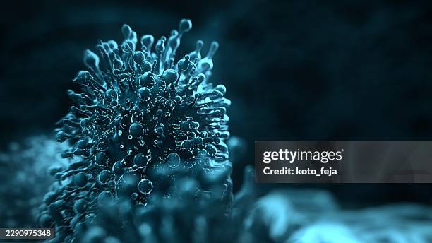 microscopic cancer cell and pathogen under microscope - nephropathy stock pictures, royalty-free photos & images