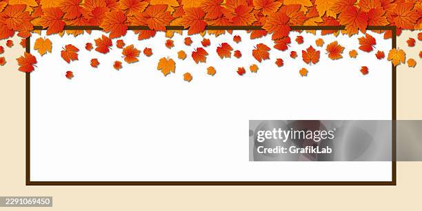 empty frame with autumn leaves on the top edge - forest from above stock illustrations