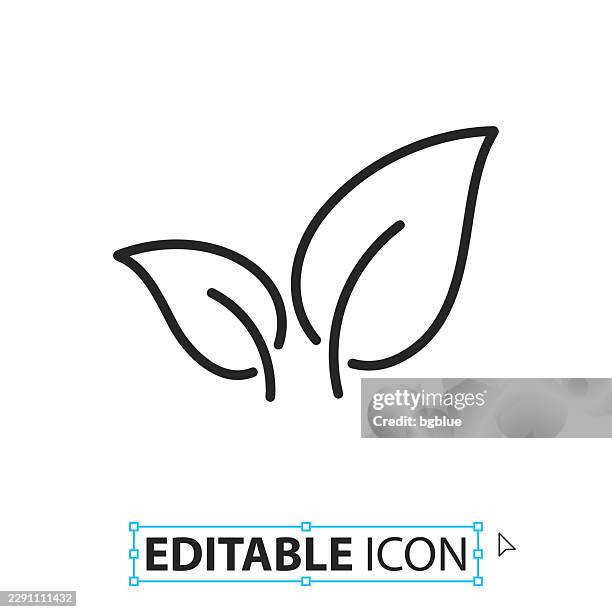 tea leaf - line editable icon on white background - tea leaf white background stock illustrations