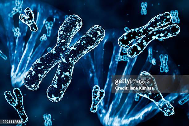 3d blue x and y chromosomes in front of dna double helix on dark background. scientific concept of genetics, genomics, heredity, genetic information, molecular biology, dna research, biotechnology, precision medicine, gene therapy, and human health. - human genome code stock pictures, royalty-free photos & images