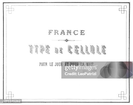 Administrative section divider introduces standardized architectural diagrams for continuous confinement cells in France Administrative section divider introduces standardized architectural diagrams for continuous confinement cells in France