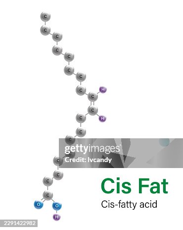Molecular model of Cis fat Molecular model of Cis fat