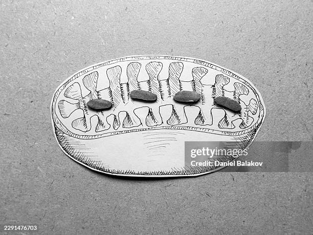 mitochondria cell drawing with stones representing atp - energy metabolism stock illustrations