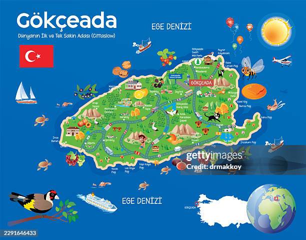 gokceada (imbros) island illustrated map vector - loggerhead turtle stock illustrations