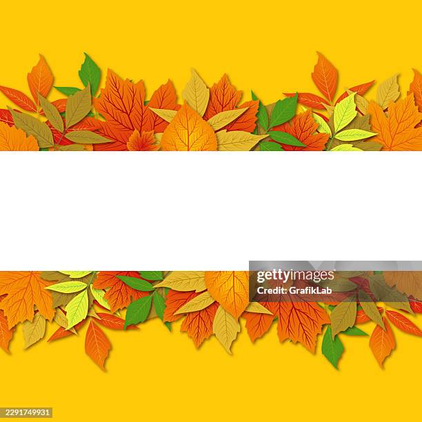 horizontal white strip placed between various autumn leaves - square drop shadow stock illustrations