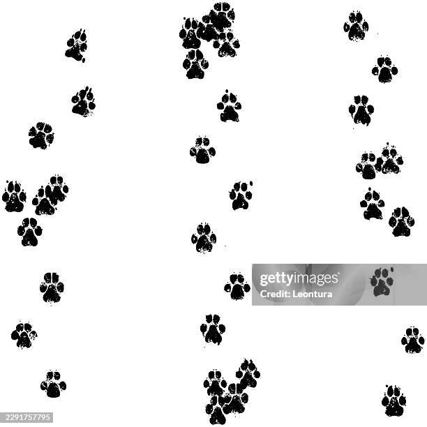 dog paths - path infographic stock illustrations