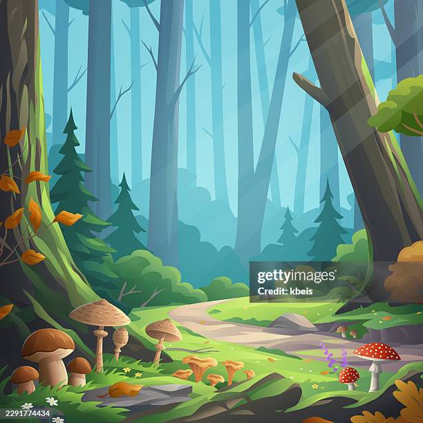 wild mushrooms in a sunlit autumn forest square vector background - forest path sunlight stock illustrations