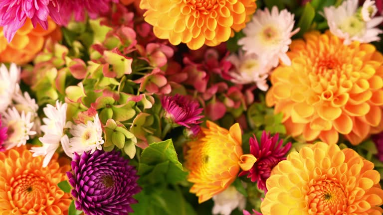 https://media.gettyimages.com/id/2291999450/video/autumn-fall-bouquet-for-thanksgiving-holiday-seasonal-warm-colorful-blossom-flowers.jpg?b=1&s=640x640&k=20&c=26LuKDAn1t-1ljIcL_gD3_urob-6nfVp189Ey7YUCVg=