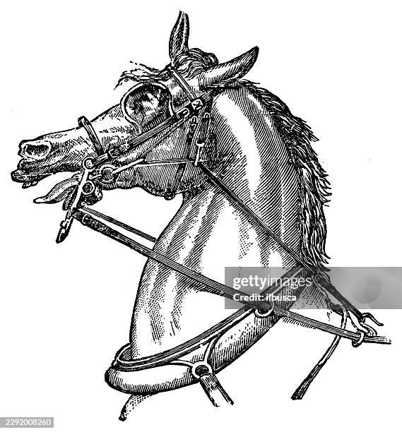 bedouin or gag bearing-rein - obedience class stock illustrations
