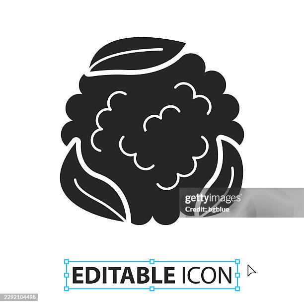 cauliflower - editable icon on white background - cauliflower isolated stock illustrations