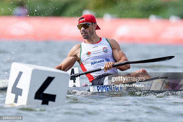 Fernando Pimenta during ICF Canoe Sprint and Paracanoe World Championships in Poznan, Poland, on August 29, 2026