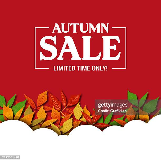 framed autumn campaign text and leafy curved bottom border - fall foliage border stock illustrations