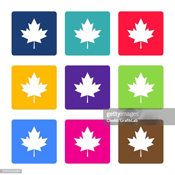 maple leaf icon collection and colorful square buttons - maple tree isolated stock illustrations
