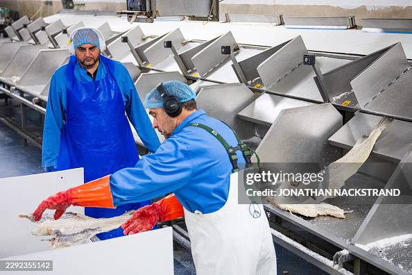 ICELAND-EU-REFERENDUM-REFERENDA-POLITICS-DIPLOMACY-FISHING ICELAND-EU-REFERENDUM-REFERENDA-POLITICS-DIPLOMACY-FISHING