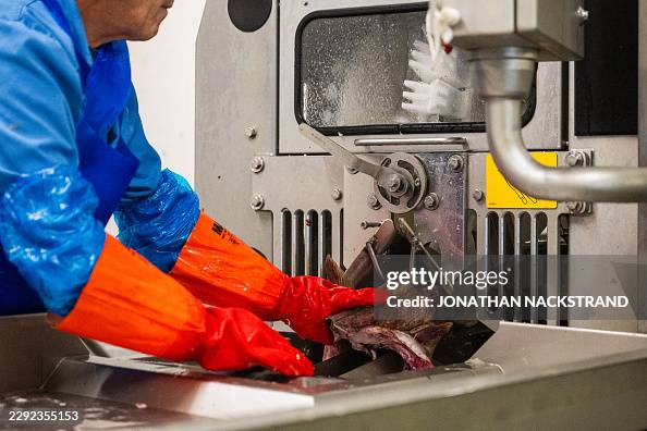 ICELAND-EU-REFERENDUM-REFERENDA-POLITICS-DIPLOMACY-FISHING ICELAND-EU-REFERENDUM-REFERENDA-POLITICS-DIPLOMACY-FISHING