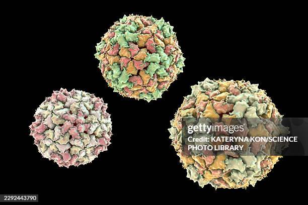 coxsackievirus, illustration - enterovirus stock illustrations