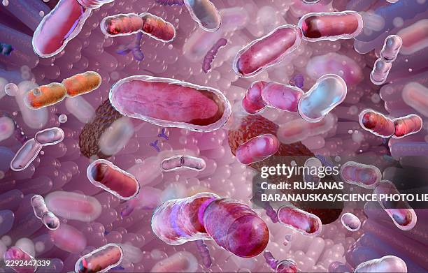 gut bacteria, illustration - probiotic stock illustrations