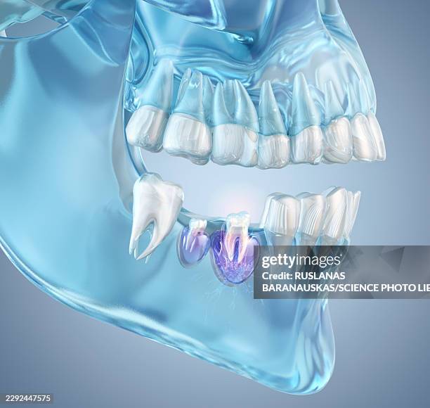 tooth regeneration, illustration - chemical engineering stock illustrations