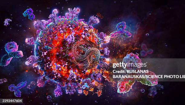 antibodies attacking virus, illustration - cell therapy stock illustrations