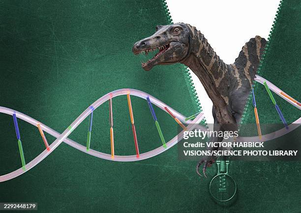 spinosaurus genome, conceptual illustration - zipper stock illustrations