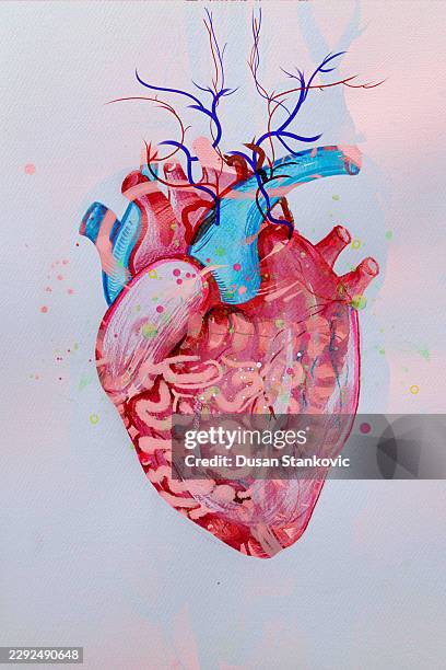 stylized anatomical heart drawing with growing branches - paint test stock illustrations