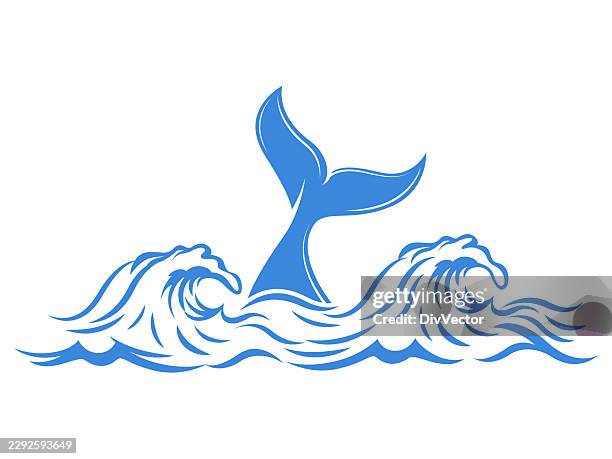 whale tail logo - whale tail stock illustrations