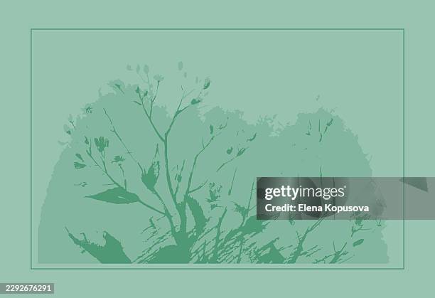 plant branch and meadow grasses, vector graphics hand-drawn by the author. - foraging stock illustrations