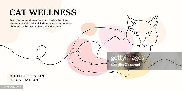 cat wellness continuous line illustration - cat tail stock illustrations