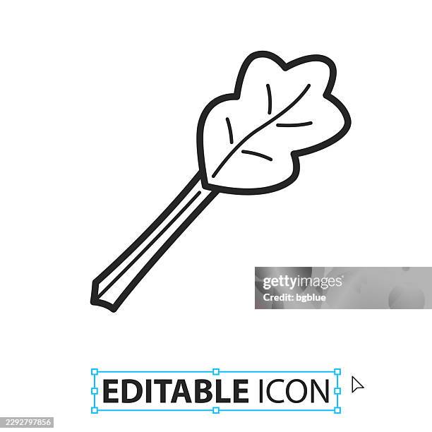 rhubarb - line editable icon on white background - rhubarb stock illustrations