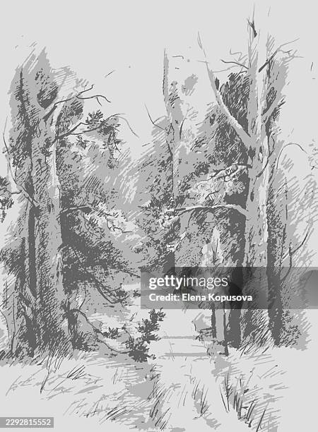 forest landscape with a path, graphic vector illustration by the author. - forest path stock illustrations