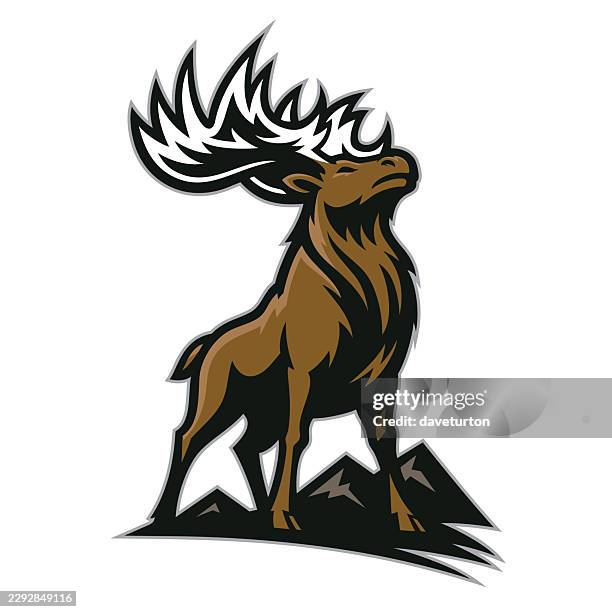 proud moose - moose stock illustrations