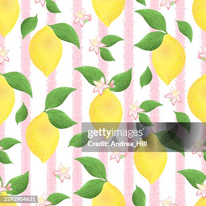 Boho Seamless Pattern Lemons. Hand-drawn Vector Illustration Boho Seamless Pattern Lemons. Hand-drawn Vector Illustration